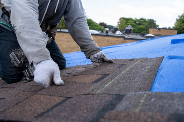 Best Storm Damage Roof Repair  in Northfield, NJ